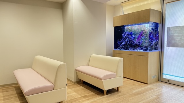 フラワー薬局 貫井店